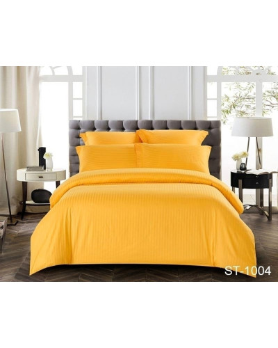 Комплекти постільної білизни TAG Tekstil    TTTAG stripe (еmax)-021 купити у Postel.biz.ua