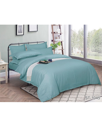 Комплекти постільної білизни TAG Tekstil    TTTAG stripe (еmax)-062 купити у Postel.biz.ua