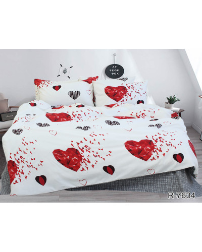 Комплекти постільної білизни TAG Tekstil    TTTAG(2-sp)-878 купити у Postel.biz.ua