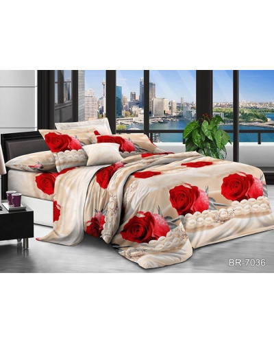 Комплекти постільної білизни TAG Tekstil    TTTAG polycotton 2-sp-697 купити у Postel.biz.ua