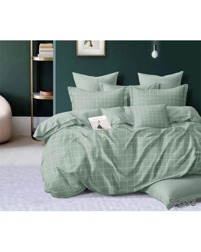 Комплекти постільної білизни TAG Tekstil    TTTAG satin (2-sp)-541 купити у Postel.biz.ua