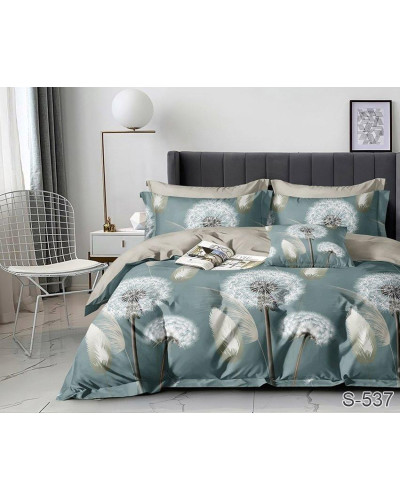 Комплекти постільної білизни TAG Tekstil    TTTAG satin (1,5-sp)-546 купити у Postel.biz.ua