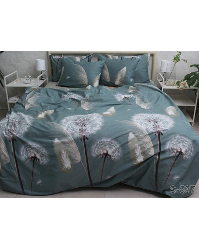 Комплекти постільної білизни TAG Tekstil    TTTAG satin (1,5-sp)-546 купити у Postel.biz.ua