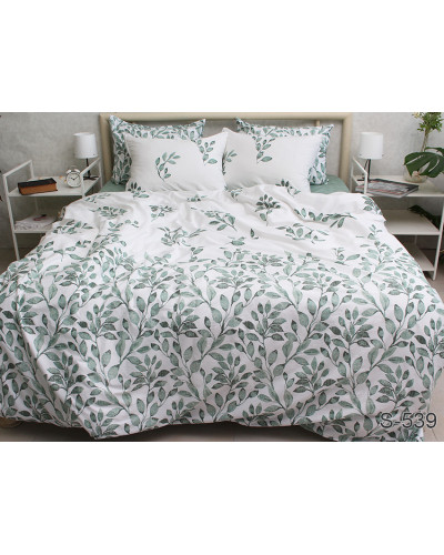 Комплекти постільної білизни TAG Tekstil    TTTAG satin (2-sp)-548 купити у Postel.biz.ua