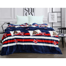 Плед велсофт (мікрофібра) VL0982