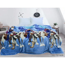 Плед велсофт (мікрофібра) VL101926