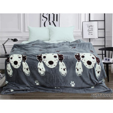 Плед велсофт (мікрофібра) ALM1901