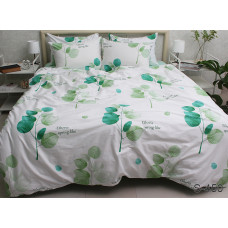 Комплект постільної білизни з компаньйоном S450