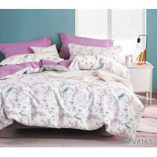 Комплект постільної білизни з компаньйоном R-V8163