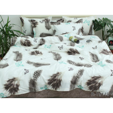 Комплект постільної білизни з компаньйоном R-T9149