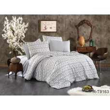 Комплект постільної білизни з компаньйоном R-T9163
