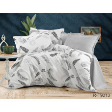 Комплект постільної білизни з компаньйоном R-T9213