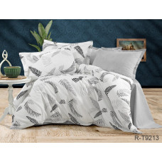 Комплект постільної білизни з компаньйоном R-T9213