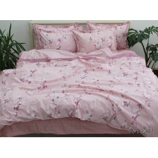 Комплект постільної білизни з компаньйоном R-T9241