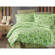 Комплект постільної білизни з компаньйоном R-T9236