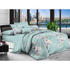 Комплект постільної білизни BR-4109