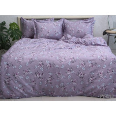 Комплект постільної білизни з компаньйоном (2-сп.) PT-011
