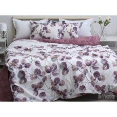 Комплект постільної білизни з компаньйоном R-T9272