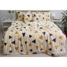 Комплект постільної білизни велсофт (мікрофібра) ALM1920