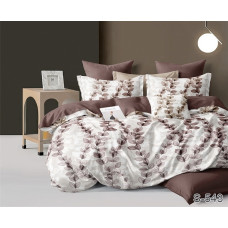 Комплект постільної білизни з компаньйоном S543