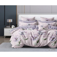 Комплект постільної білизни з компаньйоном S546
