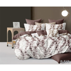 Комплект постільної білизни з компаньйоном S543