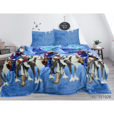 Комплект постільної білизни велсофт (мікрофібра) VL101926