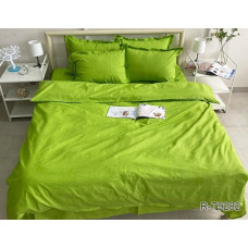 Комплект постільної білизни R-T9282