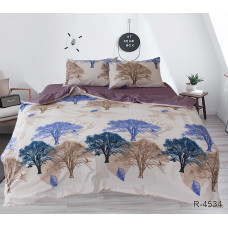 Комплект постільної білизни з компаньйоном R4534