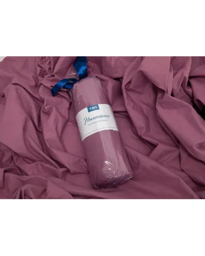 Простирадла ТЕП    T2-04017_26731 купити у Postel.biz.ua