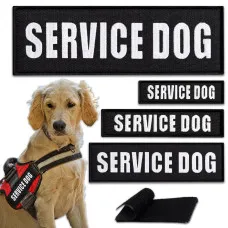 Набір шевронів 4 шт з липучкою Service Dog для службових собак, кінологів, кінологічна служба, нашивка патч шеврон