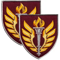 Набір шевронів 2 шт ДШВ навчальний центр 199 7х8,2 см, вишитий патч нашивка шеврон