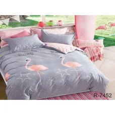 Комплект постільної білизни з компаньйоном R7452