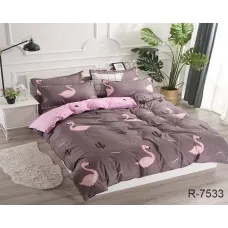 Комплект постільної білизни з компаньйоном R7533